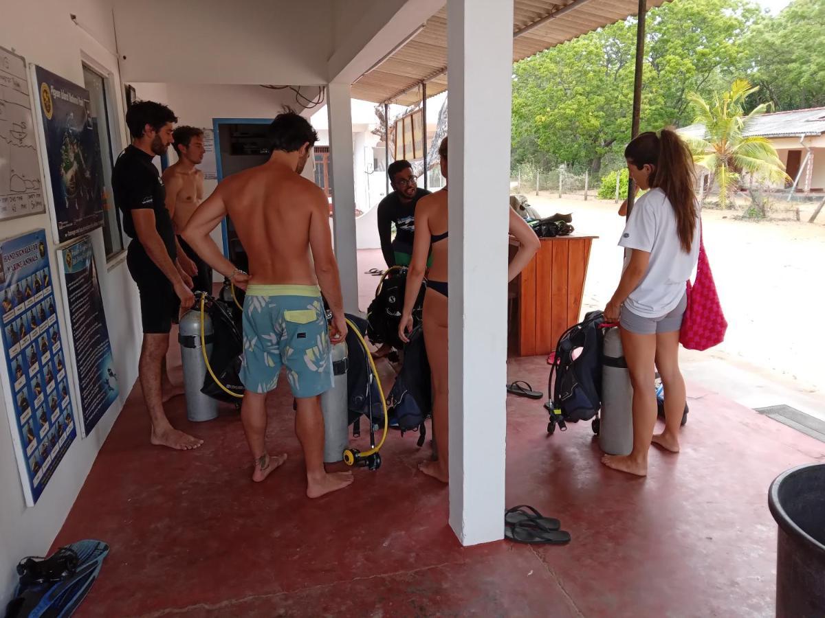 Vibushan Guest House نيلافيلي المظهر الخارجي الصورة