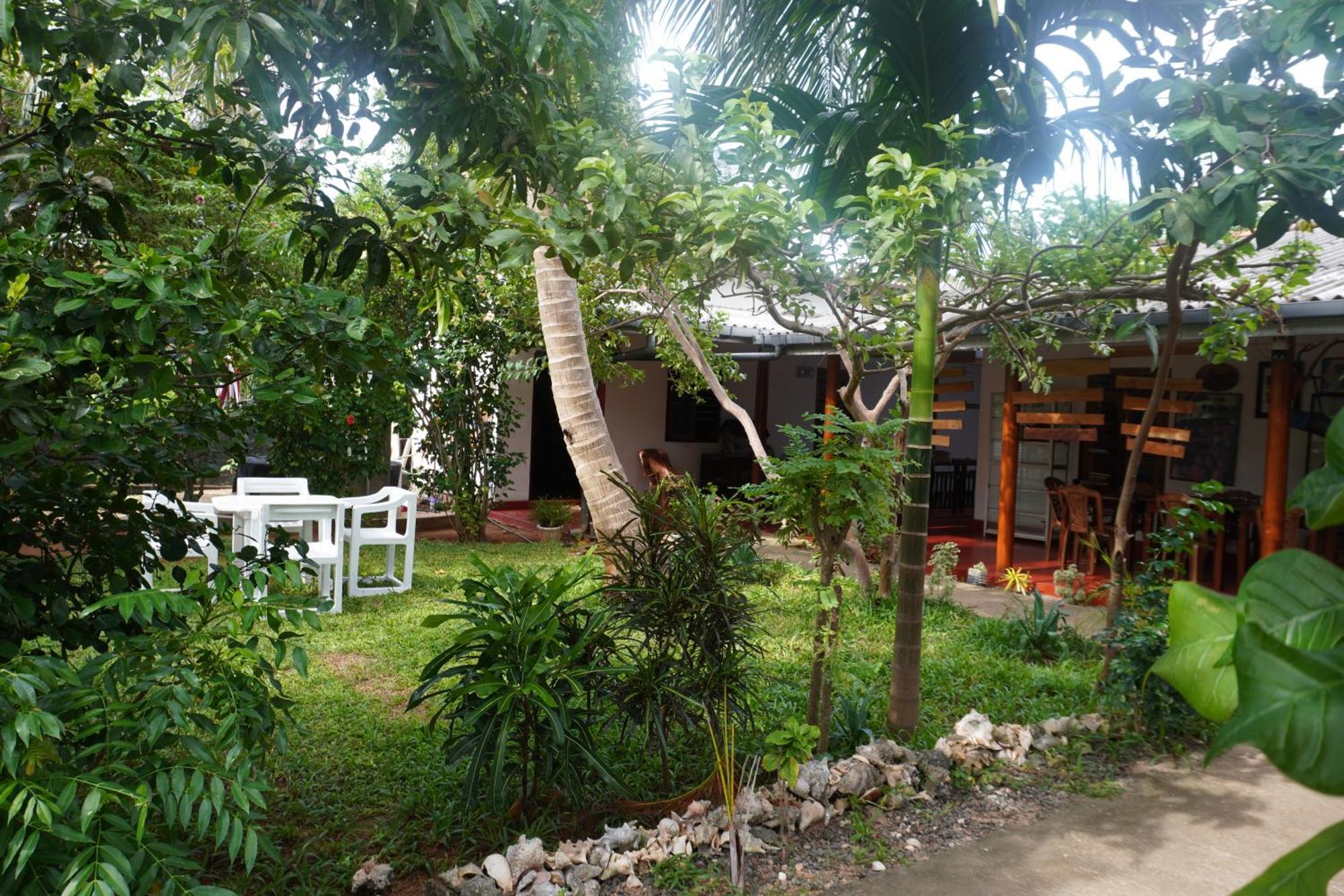 Vibushan Guest House نيلافيلي المظهر الخارجي الصورة